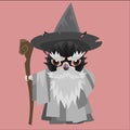 tasmanian devil wizard. Vector illustration decorative design