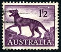 Tasmanian Tiger Australian Postage Stamp Royalty Free Stock Photo