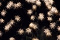 Tassels in the Night Sky Royalty Free Stock Photo