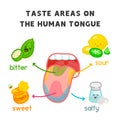 Taste areas on the human tongue diagram chart in science subject kawaii doodle vector