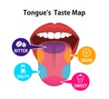 Taste areas of human tongue vector illustration