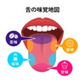 Taste areas of human tongue vector illustration Royalty Free Stock Photo