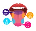 Taste areas of human tongue vector illustration Royalty Free Stock Photo