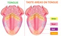 taste areas of tongue Royalty Free Stock Photo