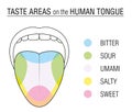 Taste Buds Colored Tongue Chart Royalty Free Stock Photo
