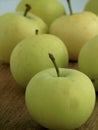 Taste delicious apples for a snack Royalty Free Stock Photo