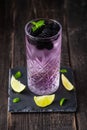 Taste of forest with gin based cocktail with blackberry liqueur and berries. Selective focus