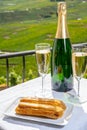 Taste of France, fresh baked eclair cakes with caramel cream with champagne traditional sparkling wine and view on green vineyards Royalty Free Stock Photo
