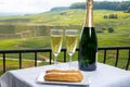 Taste of France, fresh baked eclair cakes with caramel cream with champagne traditional sparkling wine and view on green vineyards Royalty Free Stock Photo