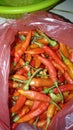 the taste of hot the name is bird chilli in palembang