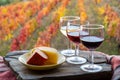 Taste of Portugal, fortified port wines and goat and sheep cheeses produced in Douro Valley with colorful terraced vineyards on Royalty Free Stock Photo