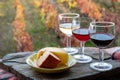 Taste of Portugal, fortified port wines and goat and sheep cheeses produced in Douro Valley with colorful terraced vineyards on Royalty Free Stock Photo