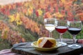 Taste of Portugal, fortified port wines and goat and sheep cheeses produced in Douro Valley with colorful terraced vineyards on Royalty Free Stock Photo