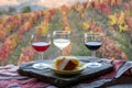 Taste of Portugal, fortified port wines and goat and sheep cheeses produced in Douro Valley with colorful terraced vineyards on Royalty Free Stock Photo