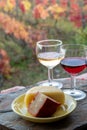 Taste of Portugal, fortified port wines and goat and sheep cheeses produced in Douro Valley with colorful terraced vineyards on Royalty Free Stock Photo