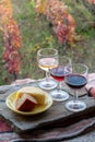 Taste of Portugal, fortified port wines and goat and sheep cheeses produced in Douro Valley with colorful terraced vineyards on Royalty Free Stock Photo