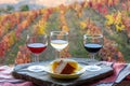 Taste of Portugal, fortified port wines and goat and sheep cheeses produced in Douro Valley with colorful terraced vineyards on Royalty Free Stock Photo