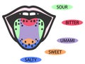 Taste scheme concept. Raster flat modern color illustration. Mouth tasty sense symbol. Umami, sweet, sour, bitter, salty