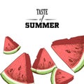 Taste of summer poster design template. Hand drawn colorful watermelon slices.