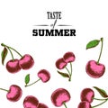 Taste of summer poster design template. Hand drawn sketch colorful cherries.