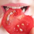 Taste a tomato