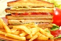 Tasteful club sandwich Royalty Free Stock Photo