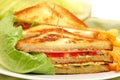 Tasteful club sandwich Royalty Free Stock Photo