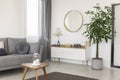 Tasteful living room interior with big green flower in concrete pot next to white cabinet with books