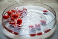 Tasteful natural organic vegetable Fresh red baby cherry plum tomatos baby tomato,cherry tomato group dropping on the water bowl Royalty Free Stock Photo