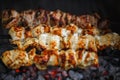 Tasteful picnic food, hot chicken barbecue, shashlik, kebab, skewer on the grill