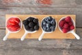 Taster dishes of assorted autumn berries Royalty Free Stock Photo