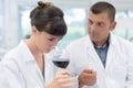 taster professional working into cellar laboratory Royalty Free Stock Photo