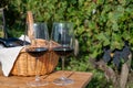 Tasting of Bordeaux blended red wine on green vineyards with rows of red Cabernet Sauvignon grape variety of Haut-Medoc vineyards Royalty Free Stock Photo