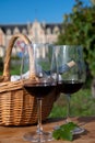 Tasting of Bordeaux blended red wine on green vineyards with rows of red Cabernet Sauvignon grape variety of Haut-Medoc vineyards Royalty Free Stock Photo