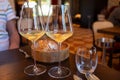 Tasting of Bordeaux white wine in Sauternes, left bank of Gironde Estuary, France. Glasses of white sweet French wine