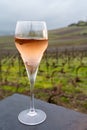 Tasting of rose brut Champagne sparkling wine with red caviar in cellars of gran cru wine house in Epernay, wine tour in Champagne