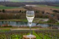 Tasting of brut champagne sparkling wine with view on hilly pinot noir gran cru vineyards of famous champagne houses near Ay and Royalty Free Stock Photo