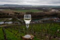 Tasting of brut champagne sparkling wine with view on hilly pinot noir gran cru vineyards of famous champagne houses near Ay and Royalty Free Stock Photo