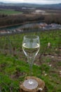 Tasting of brut champagne sparkling wine with view on hilly pinot noir gran cru vineyards of famous champagne houses near Ay and Royalty Free Stock Photo