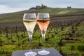 Tasting of brut and rose champagne sparkling wine outdoor with view on pinot noir gran cru vineyards of famous champagne houses in Royalty Free Stock Photo