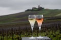 Tasting of brut and rose champagne sparkling wine outdoor with view on pinot noir gran cru vineyards of famous champagne houses in Royalty Free Stock Photo