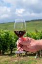 Tasting of burgundy red wine from grand cru pinot noir vineyards, hand with glass of wine and view on green vineyards in Burgundy