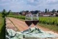 Tasting of burgundy red wine from grand cru pinot noir vineyards, two glasses of wine and view on green vineyards in Burgundy