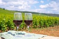 Tasting of burgundy red wine from grand cru pinot noir vineyards, two glasses of wine and view on green vineyards in Burgundy
