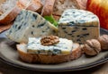 Cheese collection, piece of French blue cheese auvergne or fourme d\'ambert close up with blue mol