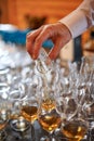 Tasting cognac or brandy. Glasses with brandy or cognac stand in a row. The waiter pours cognac into glasses, close-up.