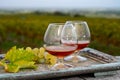 Aerial view on Sauternes village and vineyards, making of sweet dessert Sauternes wines from Semillon grapes affected by Botrytis Royalty Free Stock Photo