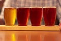 Tasting craft beer samples from a flight Royalty Free Stock Photo