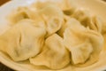 Tasting delicious chinese dumplings jiaozi