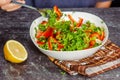 Tasting a delicious vegetable salad on a brown kitchen towel. Silver fork, lemon. Gray background